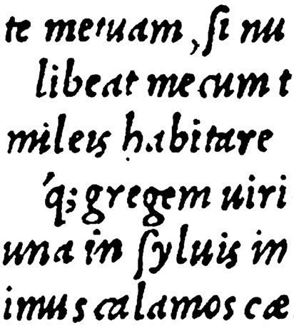Closeup of Italic Letters Cut by Francesco Griffo for Virgil’s Opera printed by the Aldine Press — Venice 1501