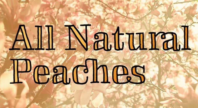 Skitch by Yellow Design Studio - All Natural Peaches
